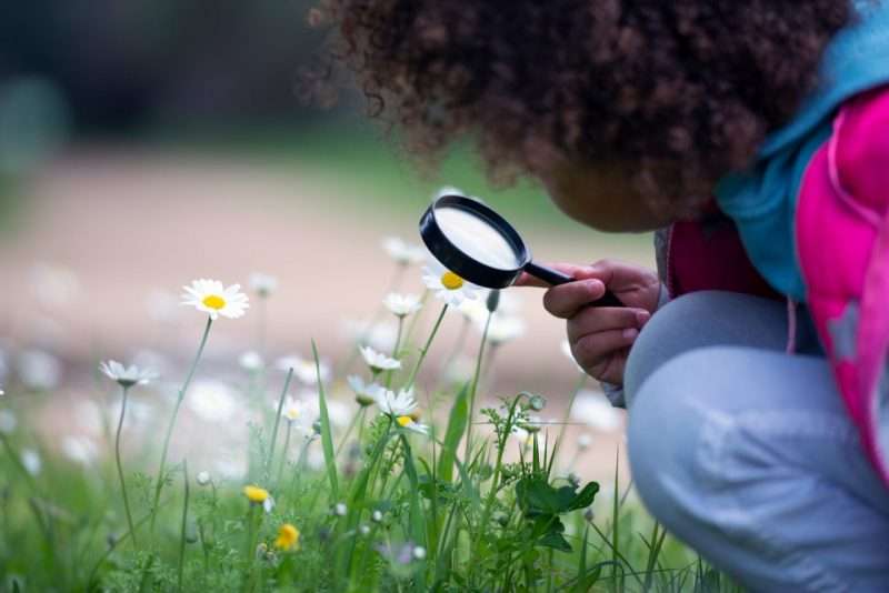 10 ways to help your child fall in love with nature this summer