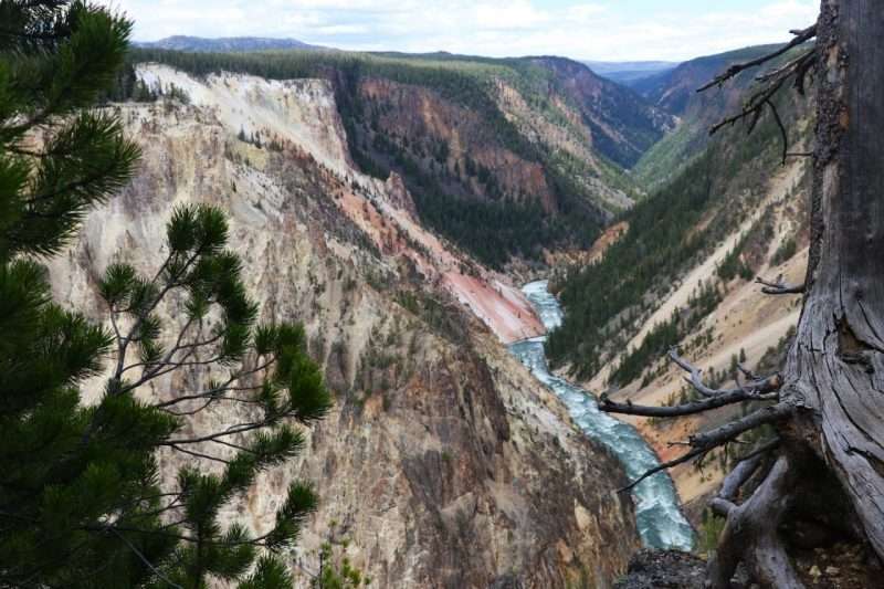 Yellowstone during the pandemic: Reliably magnificent