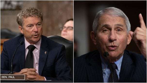 Fauci finally loses his patience with Rand Paul
