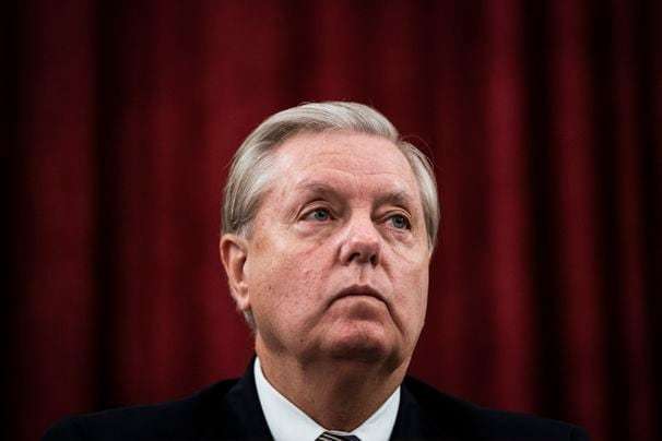 ‘Help me!’ Lindsey Graham begs Fox News viewers in unusual plea for campaign cash