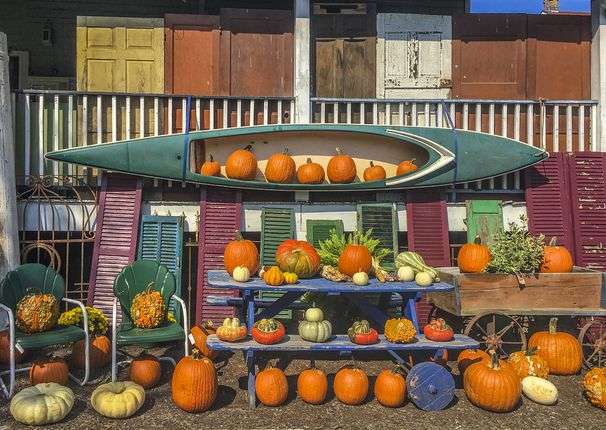 Second Glance: Pumpkin season, Oct. 11, 2020