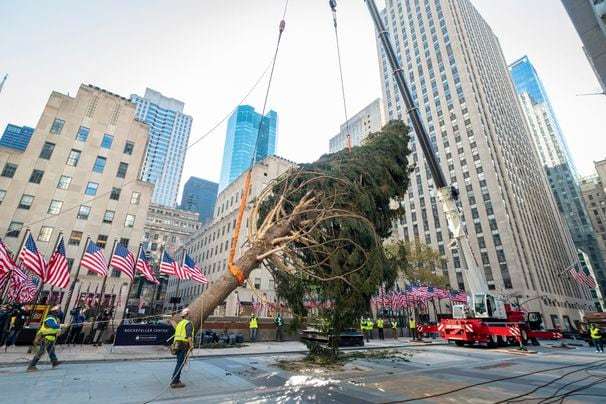 Rockefeller Center’s scraggly Christmas tree is deemed ‘a metaphor for 2020’