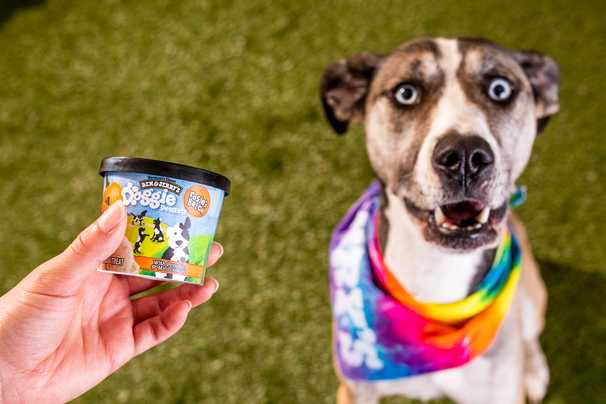 Ice cream for dogs? Even pets are eating their pandemic feelings.