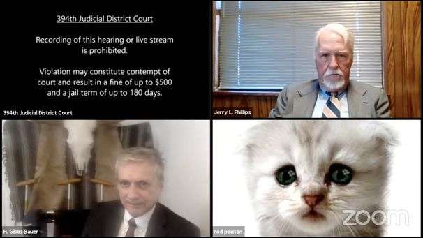 At first, cat lawyer was embarrassed. Then he realized we all could use a laugh.