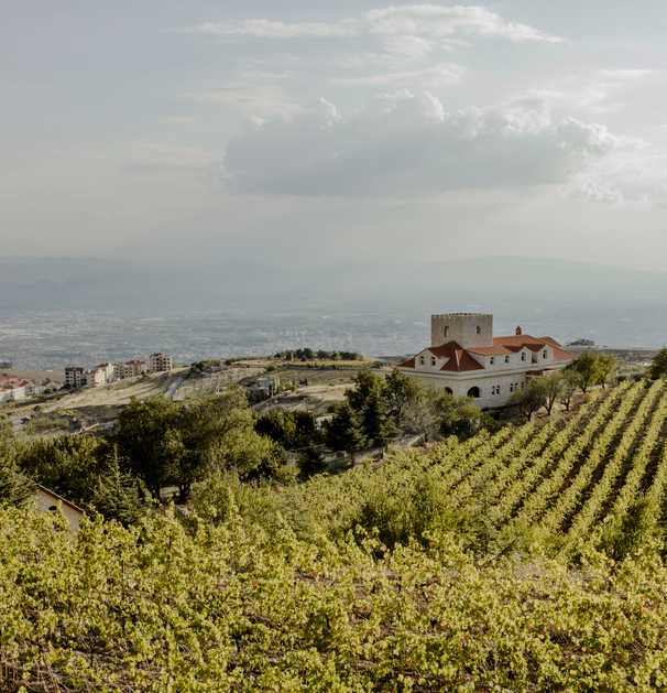 Climate change is upending Lebanon’s booming business of boutique wineries
