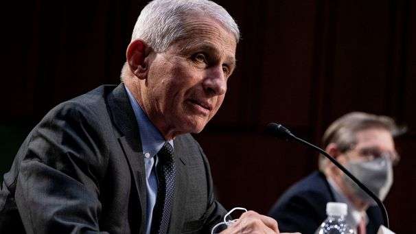 ‘Here we go again with the theater’: Fauci pushes back on Rand Paul’s amateur epidemiology — again