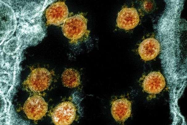 How long will the coronavirus vaccines protect you? Experts weigh in.