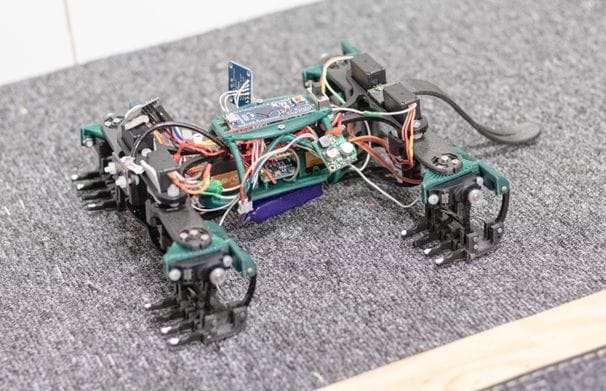 Robotic lizards may play a role in the future of disaster surveillance, researchers imagine