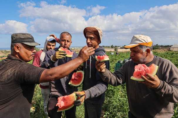Why Palestinians are uniting around watermelon emoji