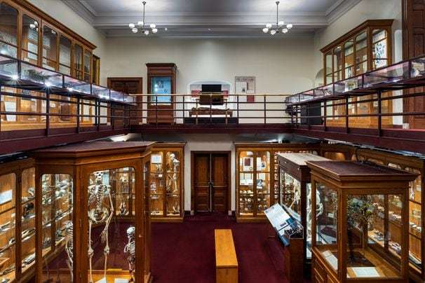 Eight U.S. museums that chronicle and celebrate the history of medicine