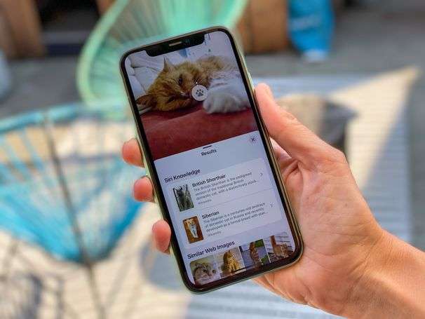 Apple’s iOS 15 is available for iPhones and iPads. Here’s what you need to know.