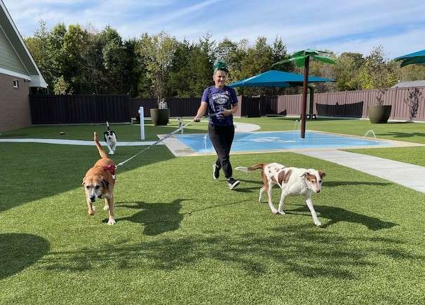 In Tennessee, the Old Friends Senior Dog Sanctuary welcomes two-legged visitors