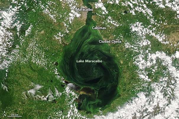 Oil slicks and algae blooms marring Venezuela’s largest lake are visible from space