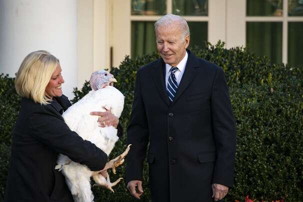 Biden pardons his first turkeys — but who will pardon his bad jokes?
