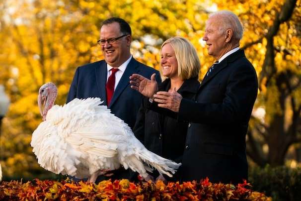 In Thanksgiving tradition, Biden grants presidential pardon to turkeys