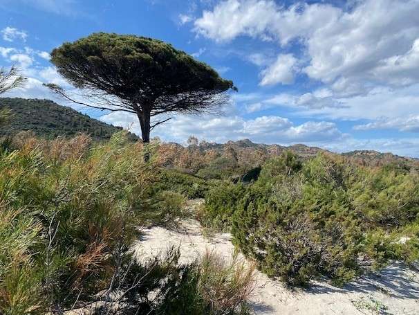 Introducing city kids to nature in the hinterlands of Sardinia