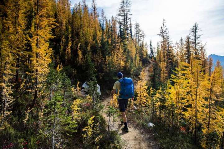 National Trails Day offers hikers the chance to celebrate and help