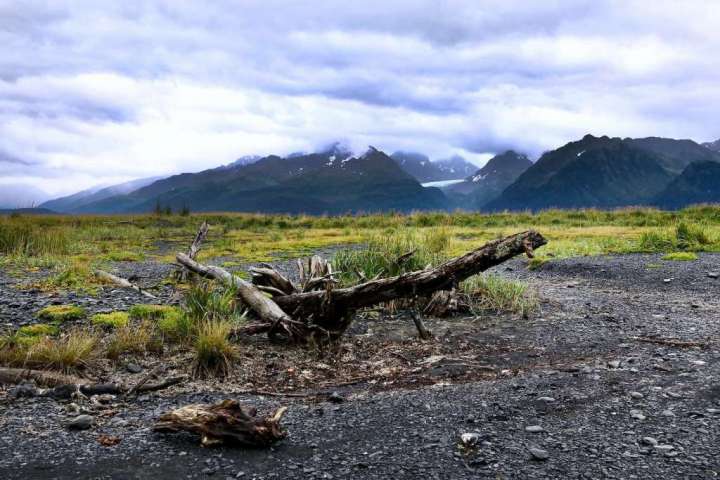 Seward, Alaska, known for its glaciers, also features top-notch hikes