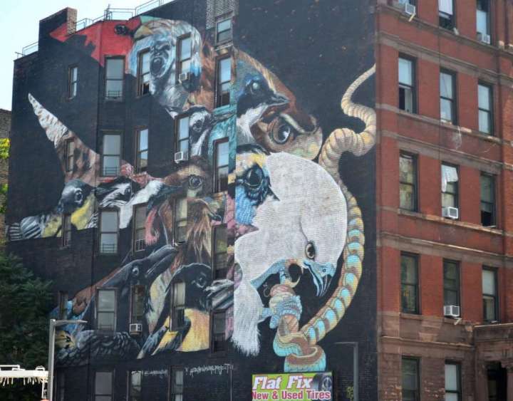 A walking tour of Manhattan’s Audubon Mural Project