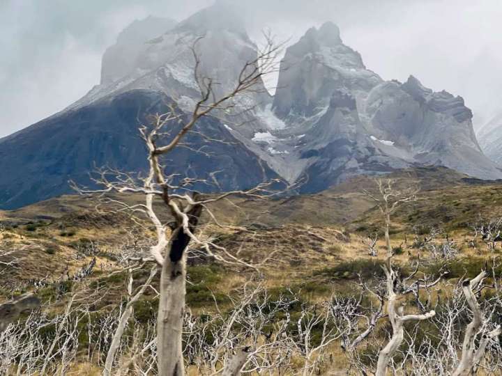 Traveling in Chile is a lesson in the ravages of climate change
