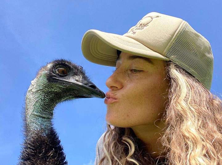 We asked Emmanuel the TikTok-interrupting emu about his sudden fame