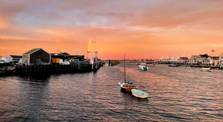 For vacationers with a senior dog, Nantucket offers a chance to romp