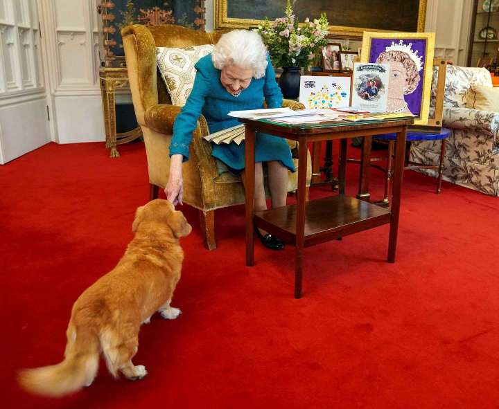 The queen’s beloved corgis were always near. What happens to them now?