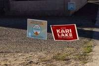 Suddenly, lawn signs seem useful — though not for winning votes