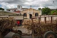 U.S. bans sugar from biggest producer in Dominican Republic