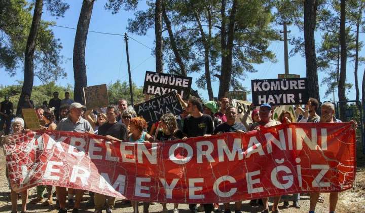 Locals vow to keep fighting to save a forest in southwest Turkey after the chainsaws finish work