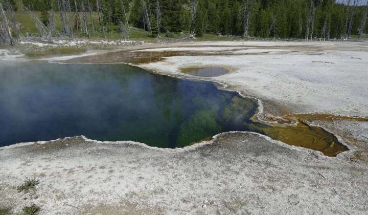 Michigan man charged after drunken stumble into Yellowstone hot spring area that left him burned