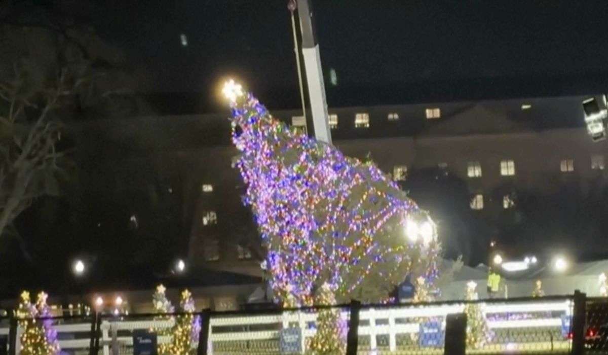 National Christmas Tree near the White House toppled by strong winds ahead of lighting ceremony