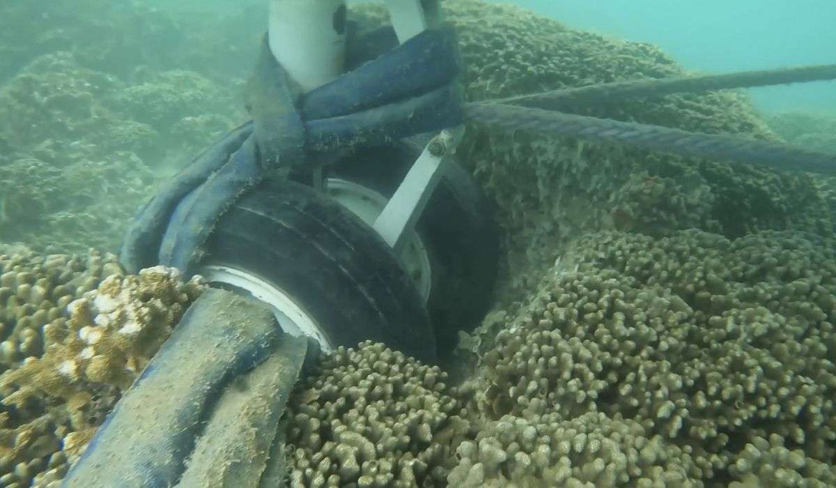 Underwater video shows U.S. Navy plane’s tires touching a coral reef in Hawaii bay